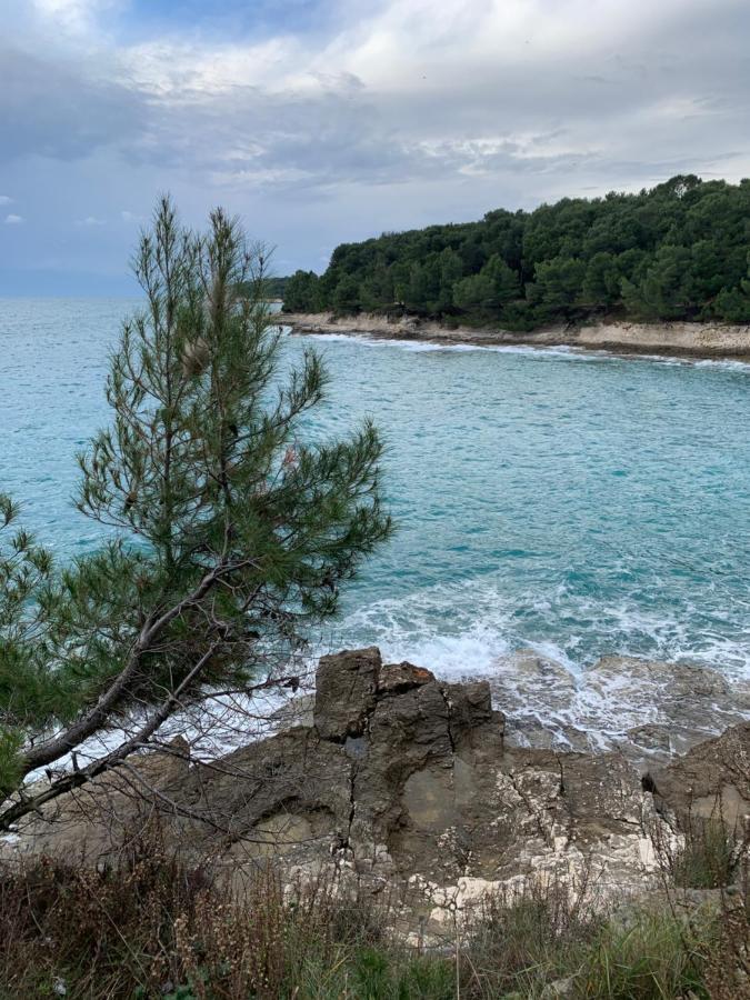 Apartment Creo Loborika Marčana Exteriér fotografie
